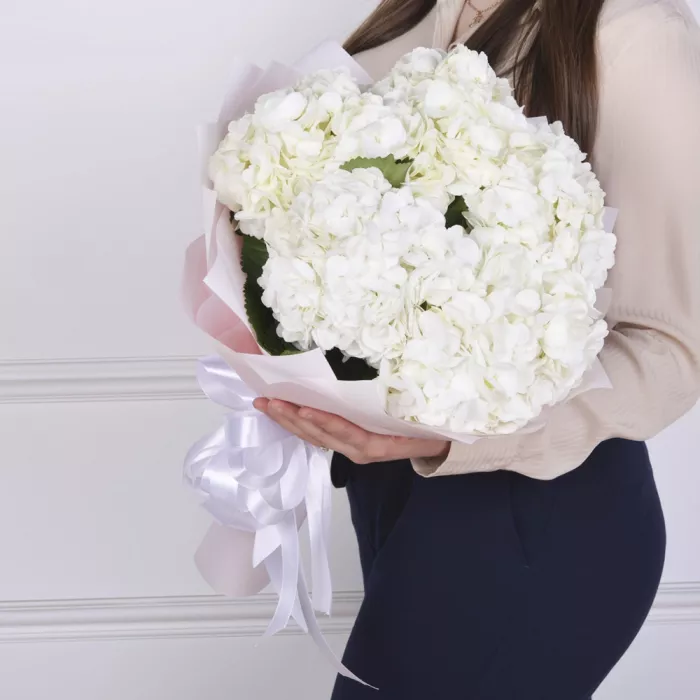 Букет из 5 белых гортензий в пленке