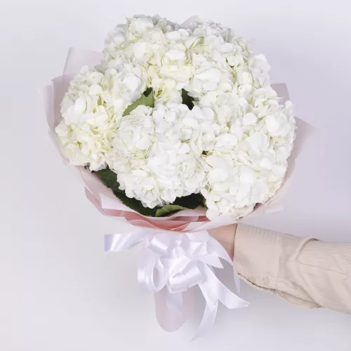 Букет из 5 белых гортензий в пленке
