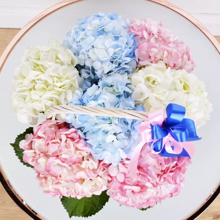 Корзина 7 Гортензий