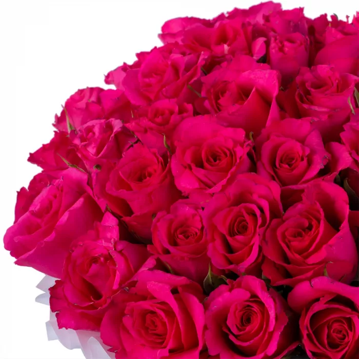 35 малиновых роз в черной шляпной коробке