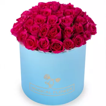 35 малиновых роз в голубой шляпной коробке