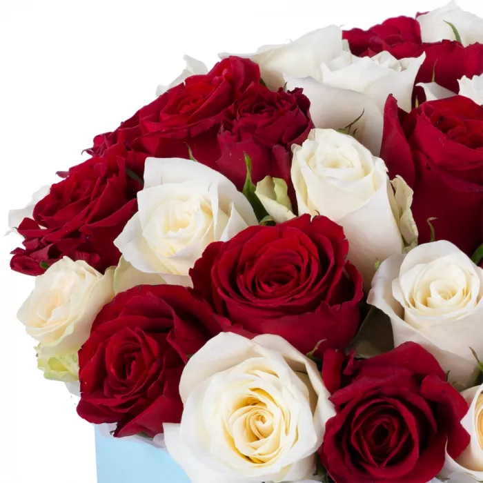 35 разноцветных роз в голубой шляпной коробке