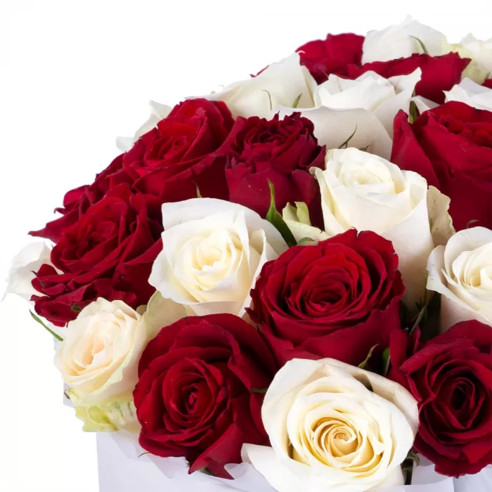 35 разноцветных роз в белой шляпной коробке