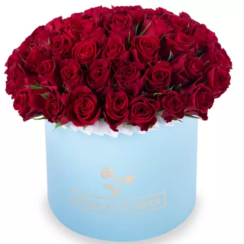 51 красная роза в голубой шляпной коробке