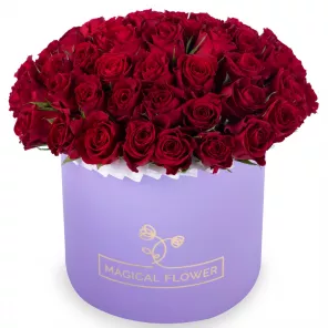 51 красная роза в фиолетовой шляпной коробке