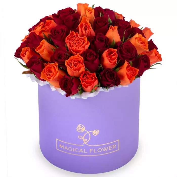 51 разноцветная роза в фиолетовой шляпной коробке