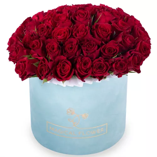 51 красная роза в зеленой бархатной шляпной коробке