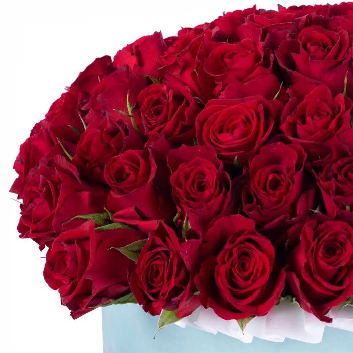 51 красная роза в зеленой бархатной шляпной коробке