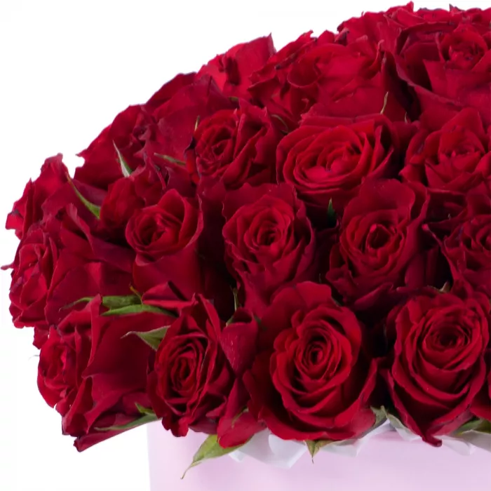 51 красная роза в розовой шляпной коробке