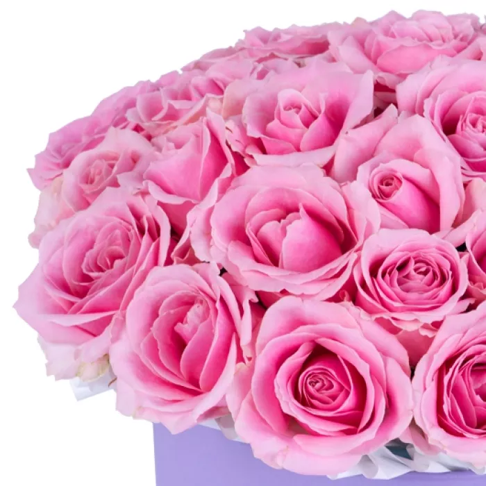 25 розовых роз premium в фиолетовой шляпной коробке