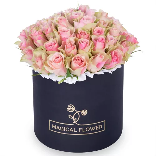 Гигантский букет из 75 бело-розовых роз в черной шляпной коробке