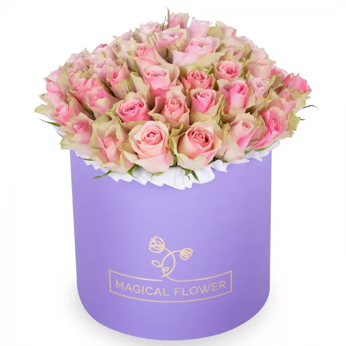 Букет из 75 бело-розовых роз в фиолетовой шляпной коробке