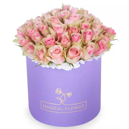 Огромный букет из 75 бело-розовых роз в фиолетовой шляпной коробке