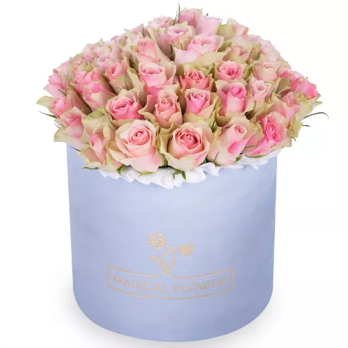 Букет из 75 бело-розовых роз в серой бархатной шляпной коробке