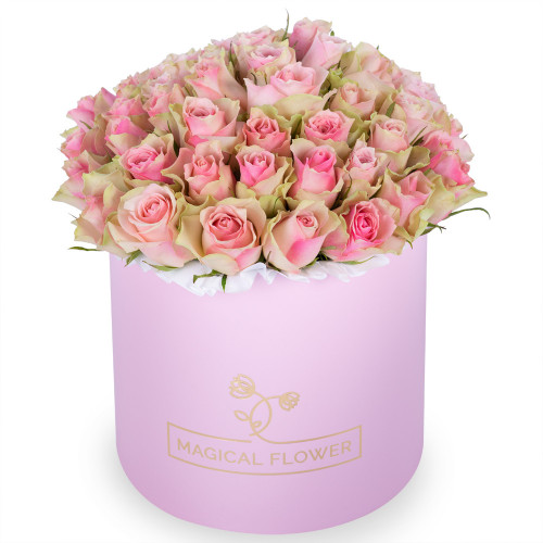 Букет из 75 бело-розовых роз в розовой шляпной коробке