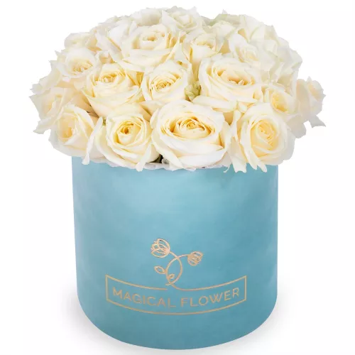 Букет из 35 белых роз premium в зеленой бархатной шляпной коробке