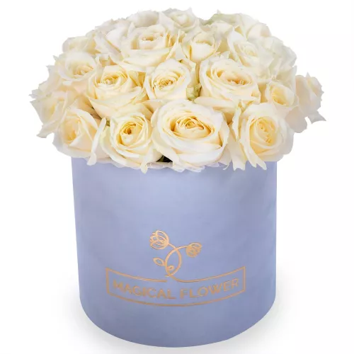 Букет из 35 белых роз premium в серой бархатной шляпной коробке