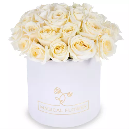 Букет из 35 белых роз premium в белой шляпной коробке