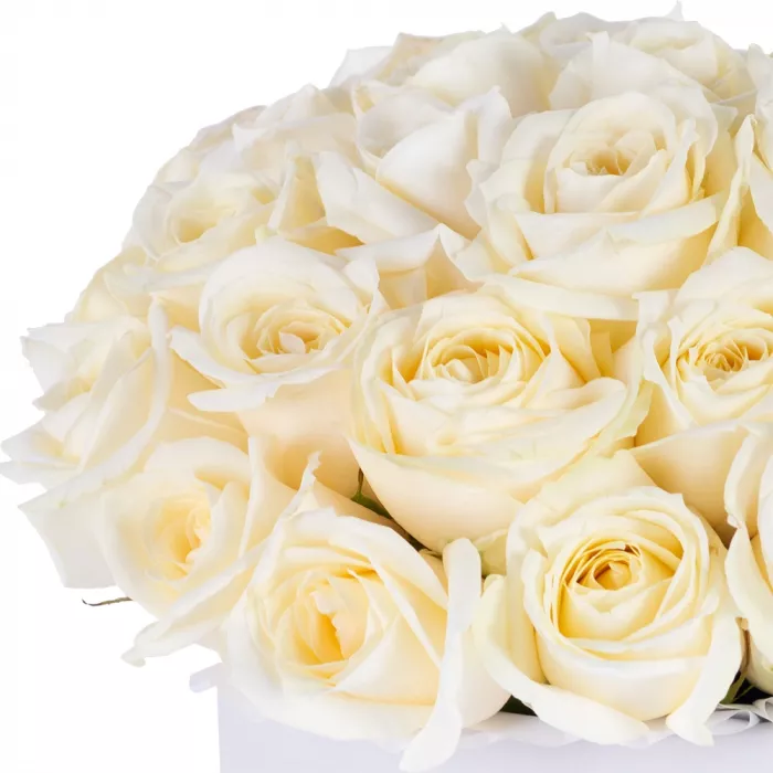 Букет из 35 белых роз premium в белой шляпной коробке