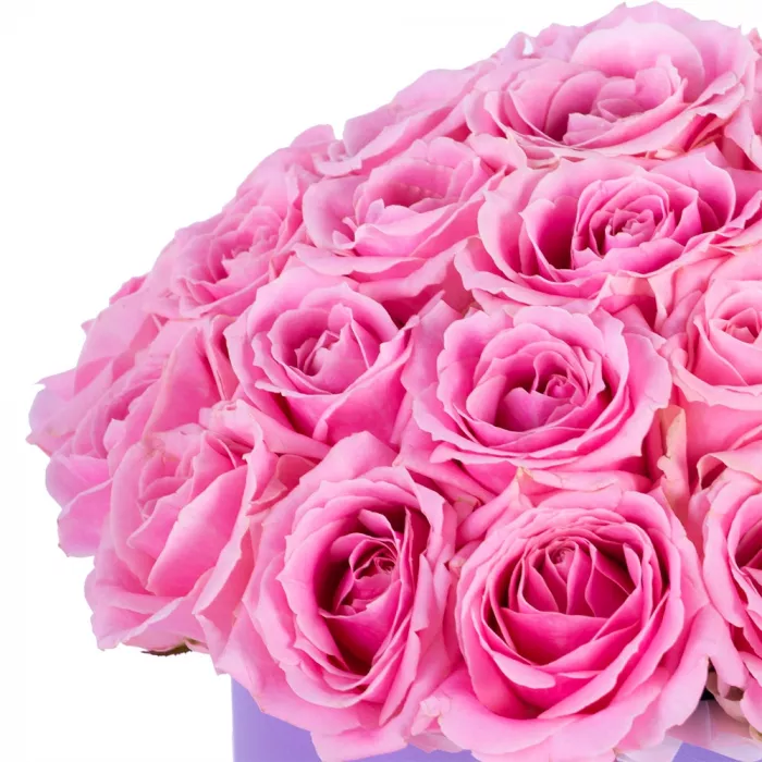 Букет из 35 розовых роз premium в фиолетовой шляпной коробке