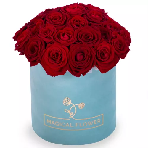 Букет из 35 красных роз premium в зеленой бархатной шляпной коробке