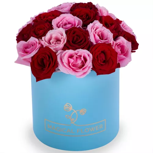 Букет из 35 разноцветных роз premium в голубой шляпной коробке