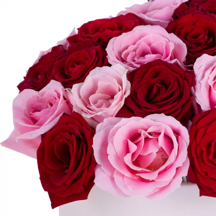 Букет из 35 разноцветных роз premium в кремовой шляпной коробке