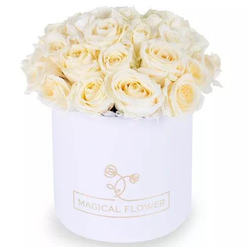 Букет из 35 белых роз premium в кремовой шляпной коробке