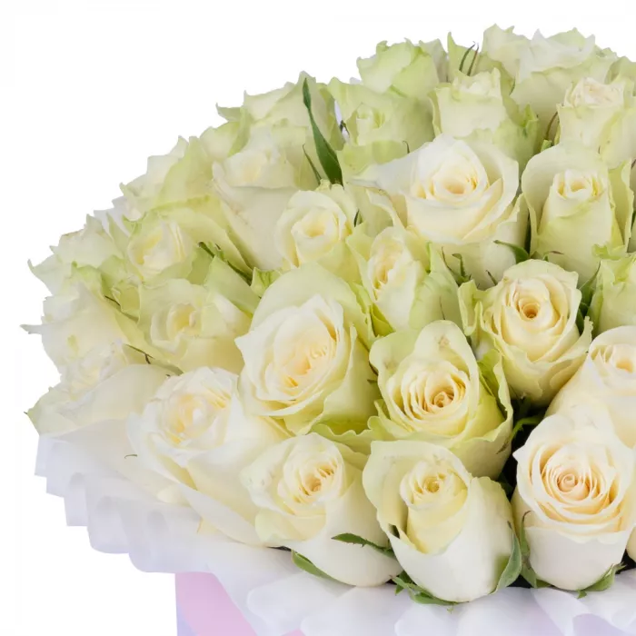 Букет из 35 белых роз в розовой шляпной коробке