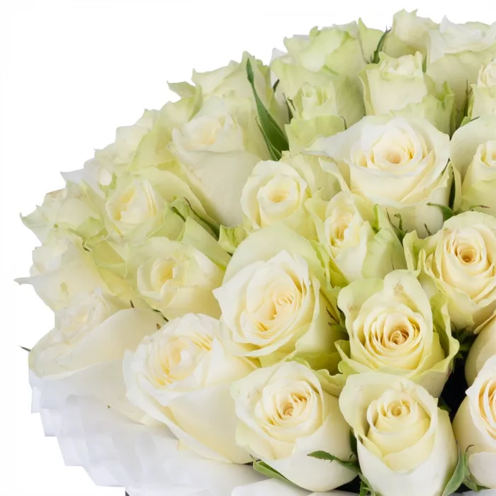 Букет из 35 белых роз в черной шляпной коробке
