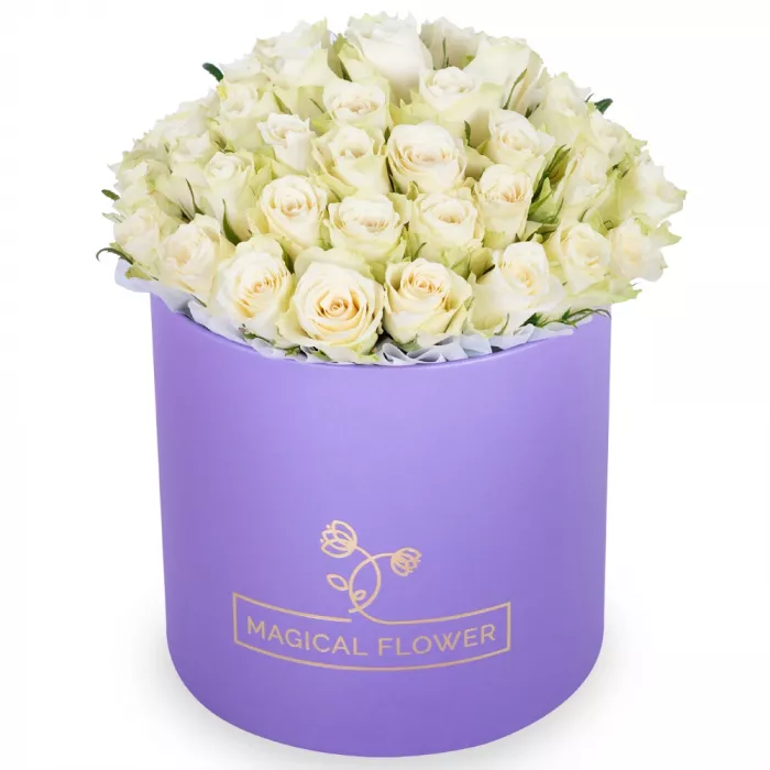 Букет из 75 белых роз в фиолетовой шляпной коробке