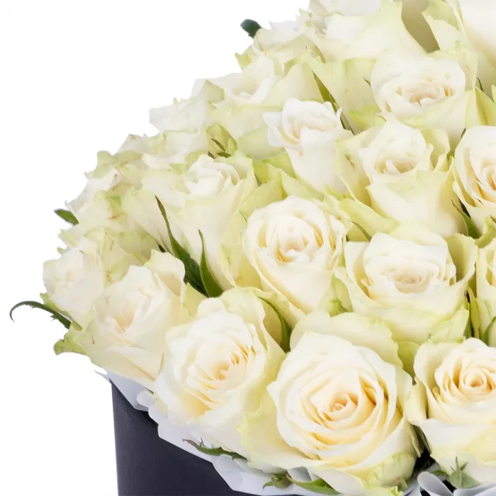 Букет из 75 белых роз в черной шляпной коробке
