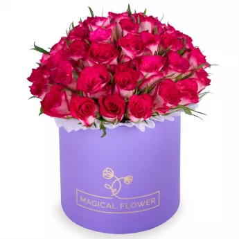 Букет из 51 бело-малиновой розы в фиолетовой шляпной коробке