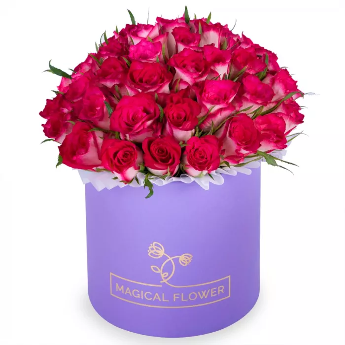 Букет из 51 бело-малиновой розы в фиолетовой шляпной коробке