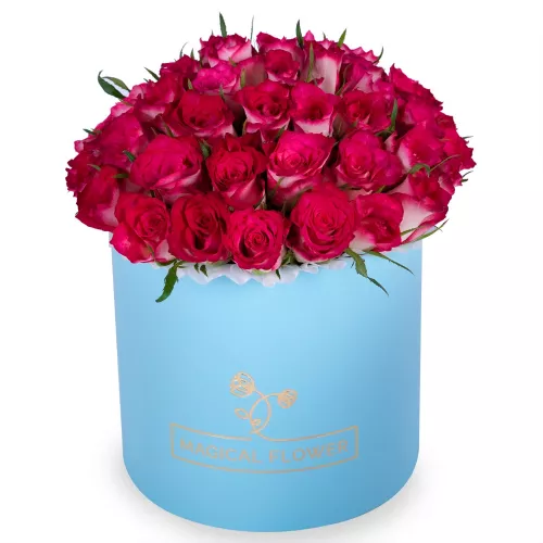 Букет из 51 бело-малиновой розы в голубой шляпной коробке