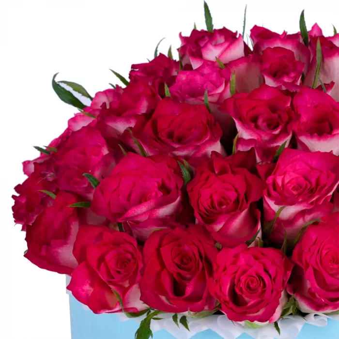 Букет из 51 бело-малиновой розы в голубой шляпной коробке