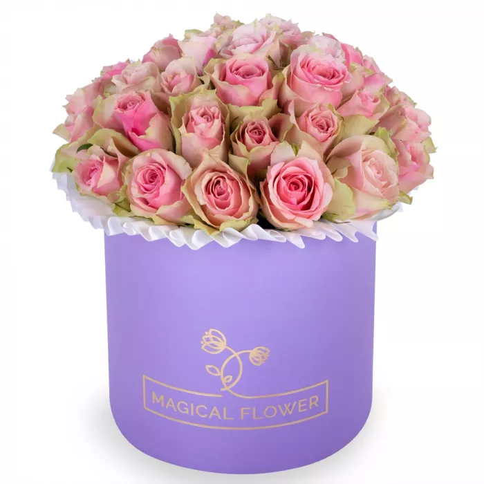 Букет из 25 бело-розовых роз в фиолетовой шляпной коробке