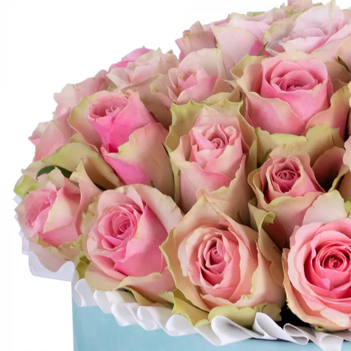 Букет из 25 бело-розовых роз в зеленой бархатной шляпной коробке