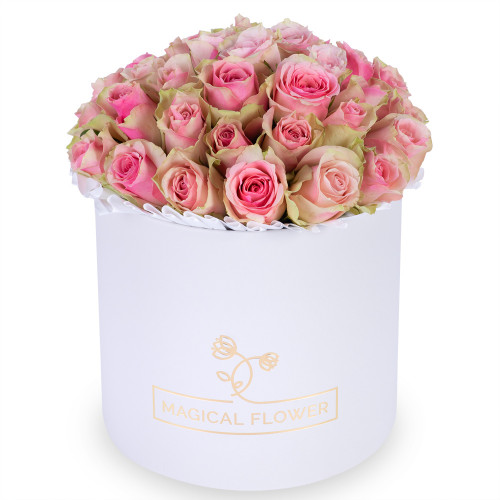 Букет из 25 бело-розовых роз в белой шляпной коробке