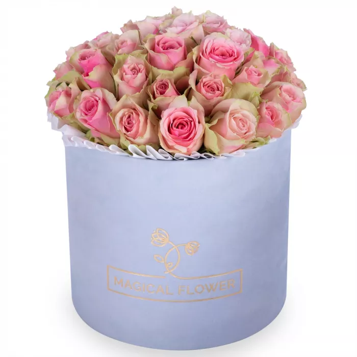 Букет из 25 бело-розовых роз в серой бархатной шляпной коробке