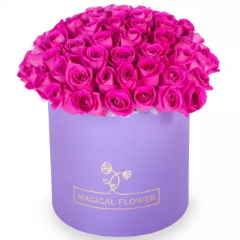Букет из 75 розовых роз в фиолетовой шляпной коробке
