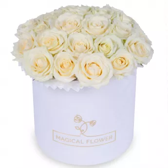 25 белых роз premium в белой шляпной коробке