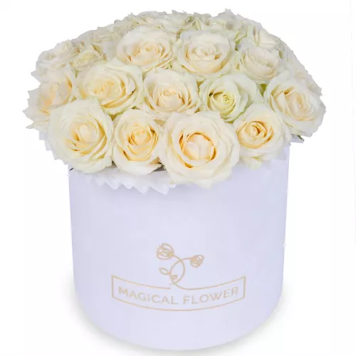 25 белых роз premium в белой шляпной коробке