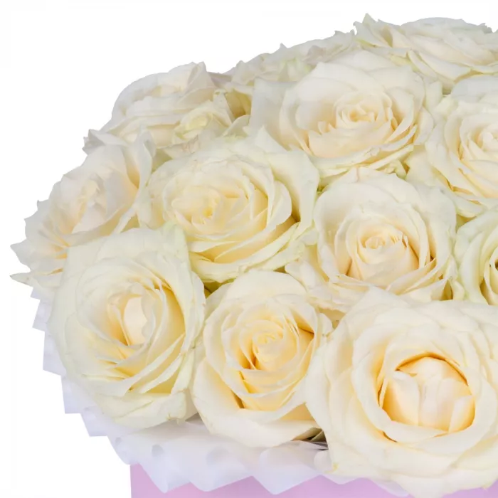 25 белых роз premium в розовой шляпной коробке