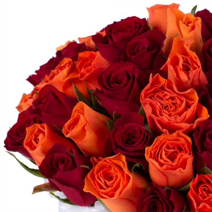 51 разноцветная роза в белой шляпной коробке