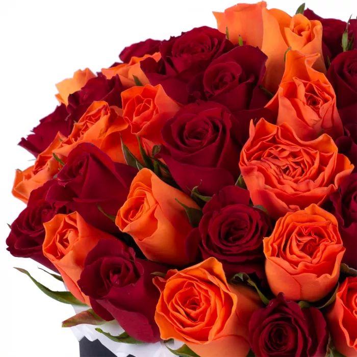 51 разноцветная роза в черной шляпной коробке