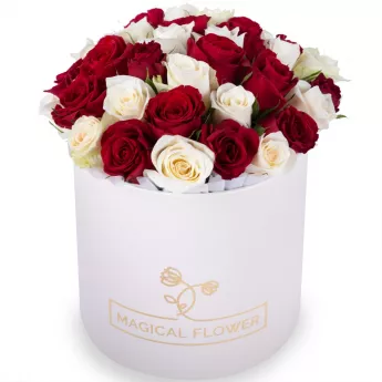 35 разноцветных роз в кремовой шляпной коробке