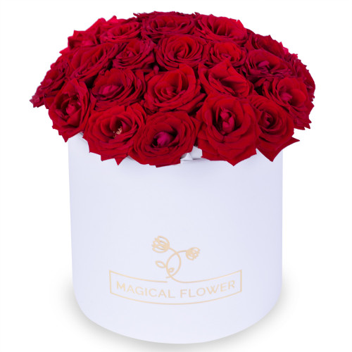 25 роз красных premium в шляпной белой коробке