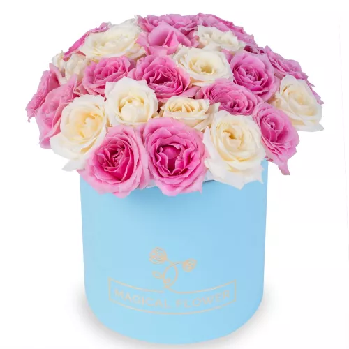 Нежный букет 25 разноцветных роз premium в голубой шляпной коробке
