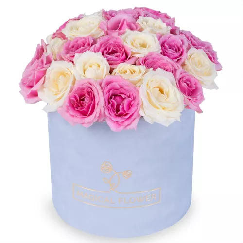 25 розовых и белых роз premium в бархатной шляпной коробке